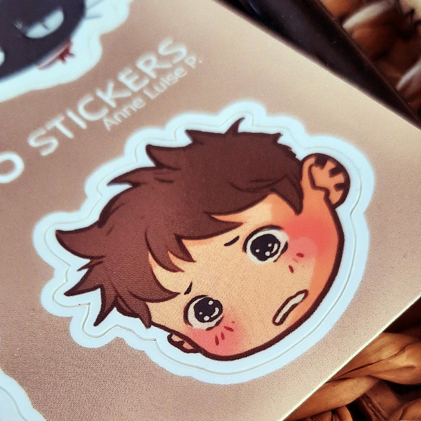 NO sticker sheet