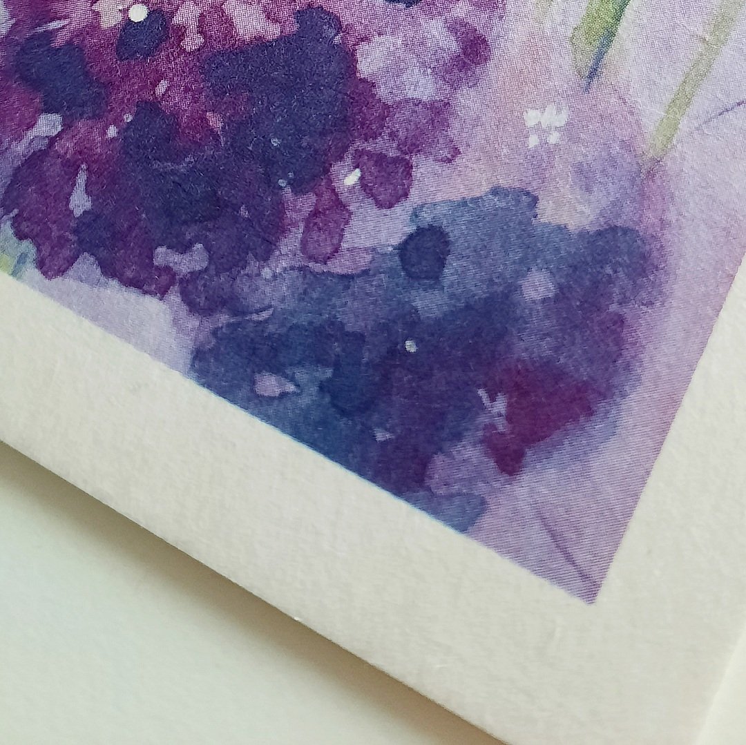Allium